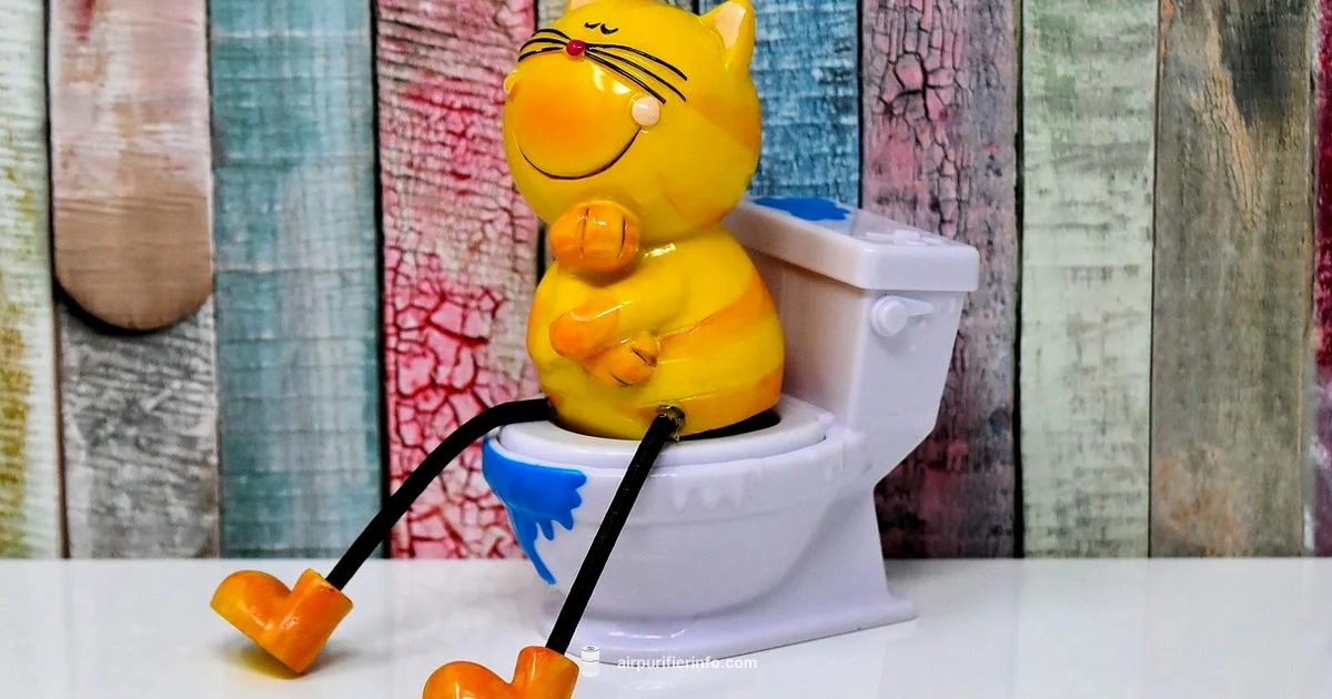 Odor-Free Living Room - Air Purifier Info