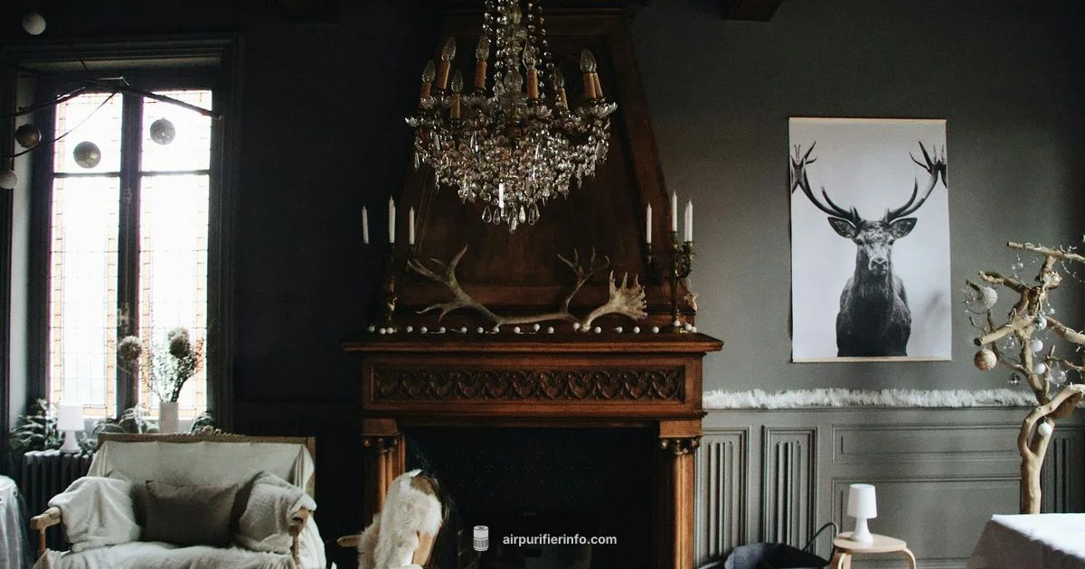 Budget Purifier Picks - Air Purifier Info