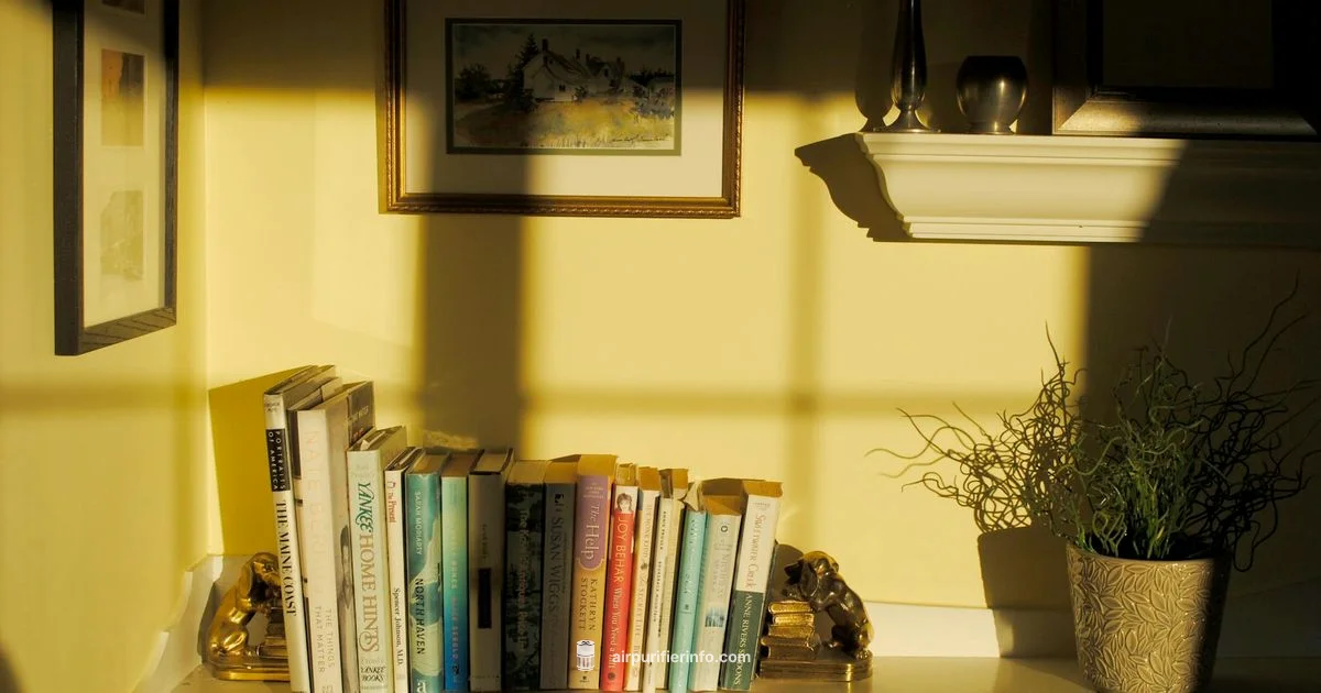 Quiet Purifier Guide - Air Purifier Info