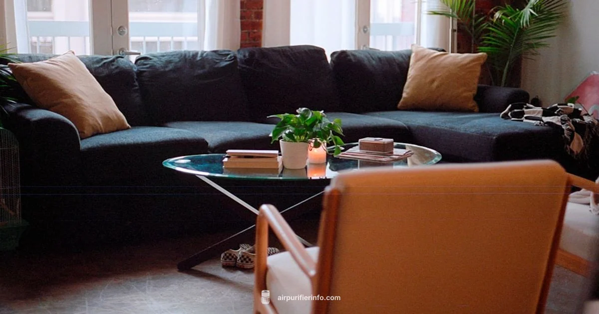 Ionic vs HEPA - Air Purifier Info