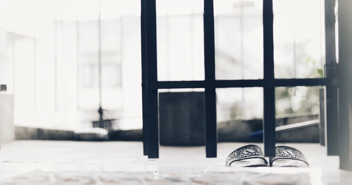 Quiet Bedroom Purifier Quiet Bedroom Purifier - Air Purifier Info