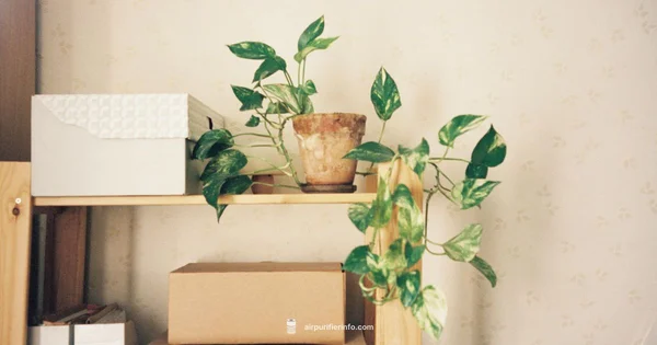 No Kit Needed - Air Purifier Info