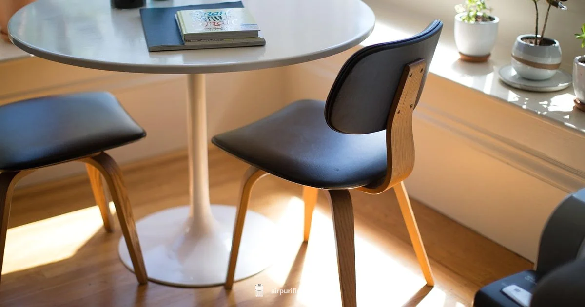 Free Purifier Guide - Air Purifier Info