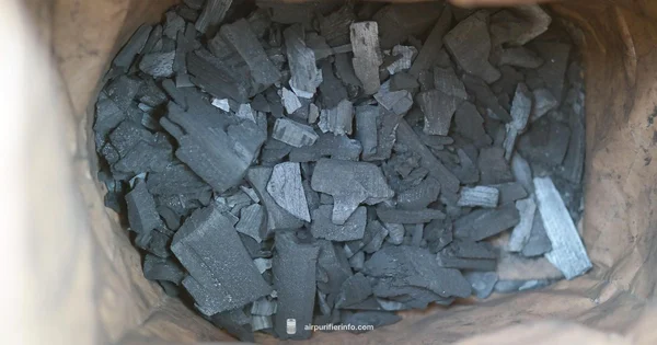 Charcoal Bags for Odors - Air Purifier Info