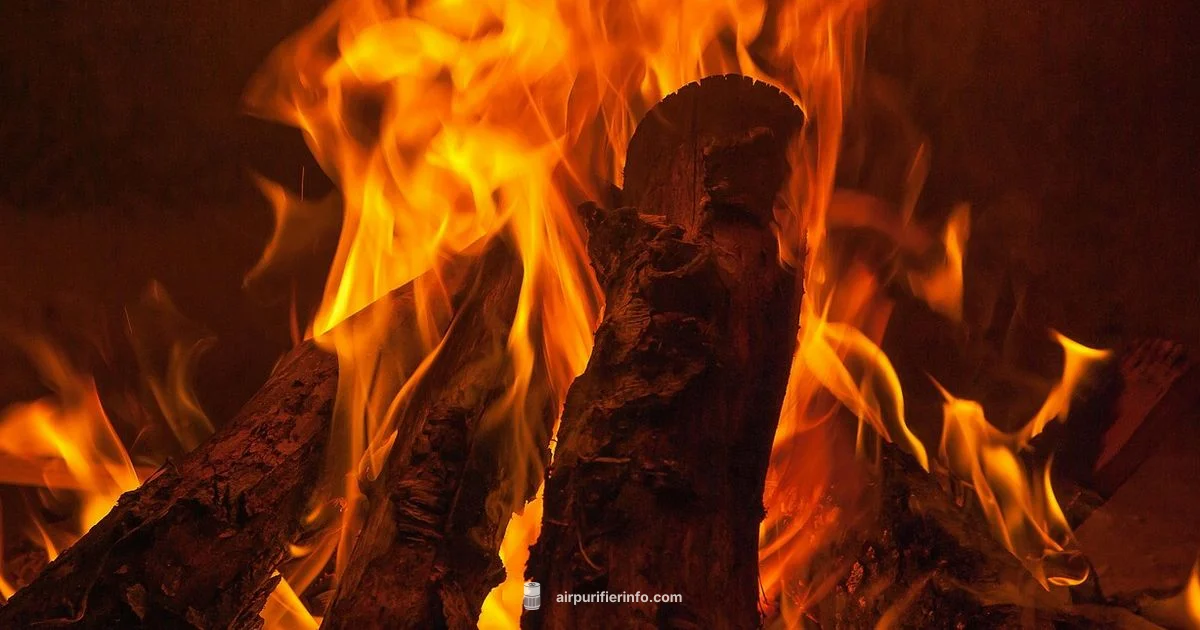 Heater and Purifier Coexist Heater and Purifier Coexist - Air Purifier Info