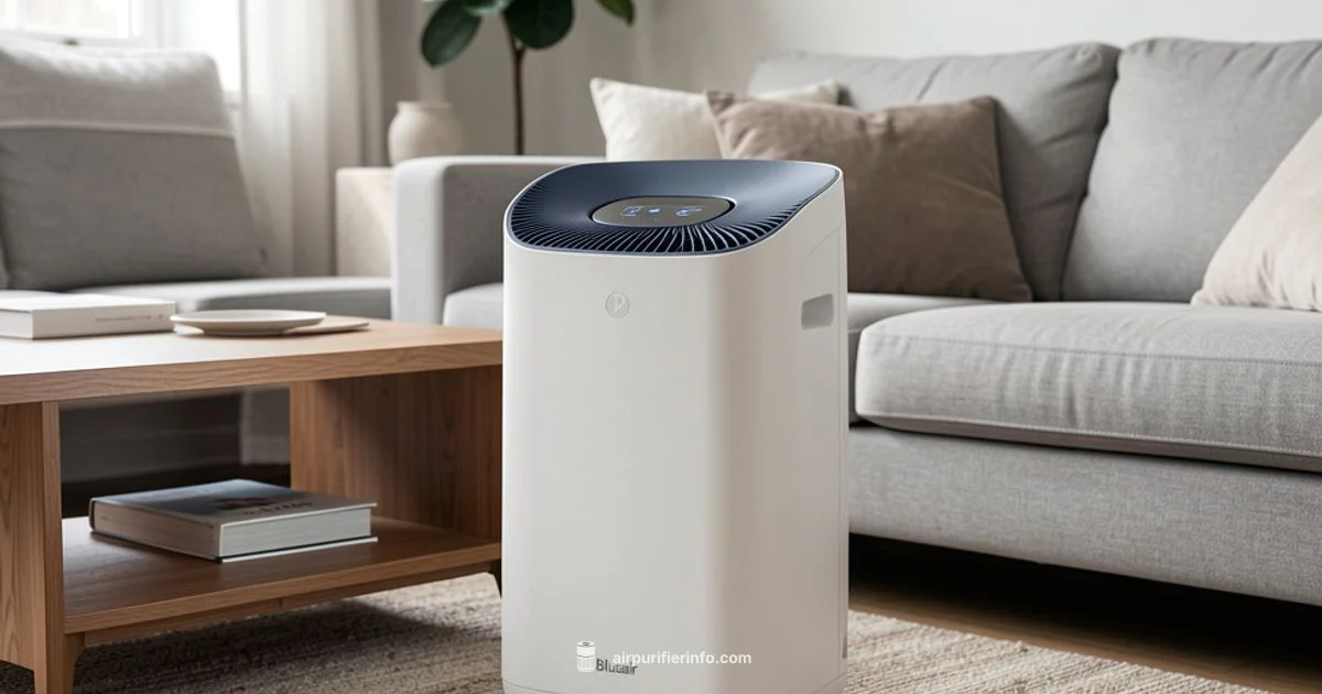 Blueair Filter Cleaning - Air Purifier Info