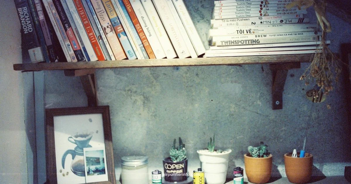 Ion Purifier Guide - Air Purifier Info