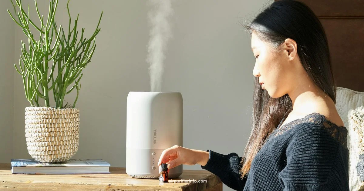 Air Purifier Humidifier Guide - Air Purifier Info