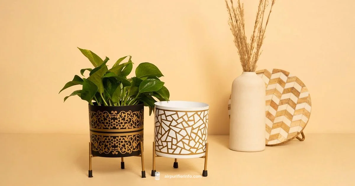 Plant Powered Purifier - Air Purifier Info