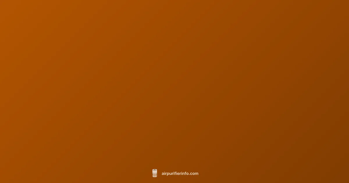 Used Air Purifier - Air Purifier Info (illustration)