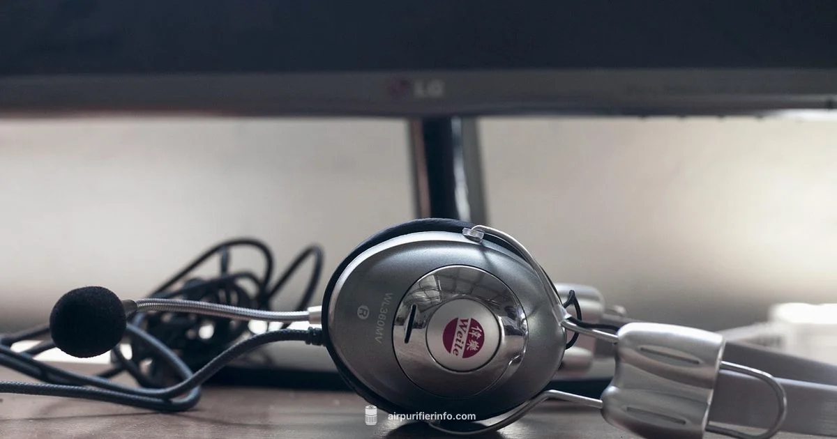 Dyson Pranks 101 - Air Purifier Info