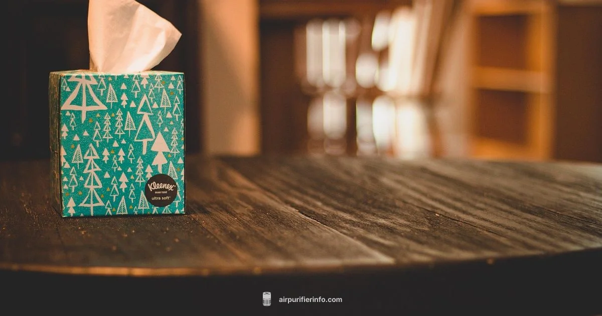 Wildfire Smoke Purifier - Air Purifier Info