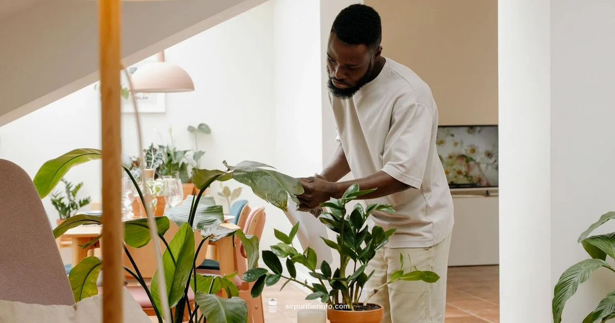 Plant Air Purifier Plant Air Purifier - Air Purifier Info