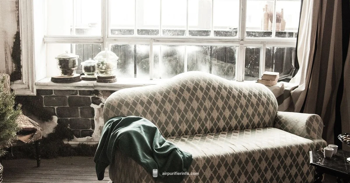 4 Air Filter Picks - Air Purifier Info