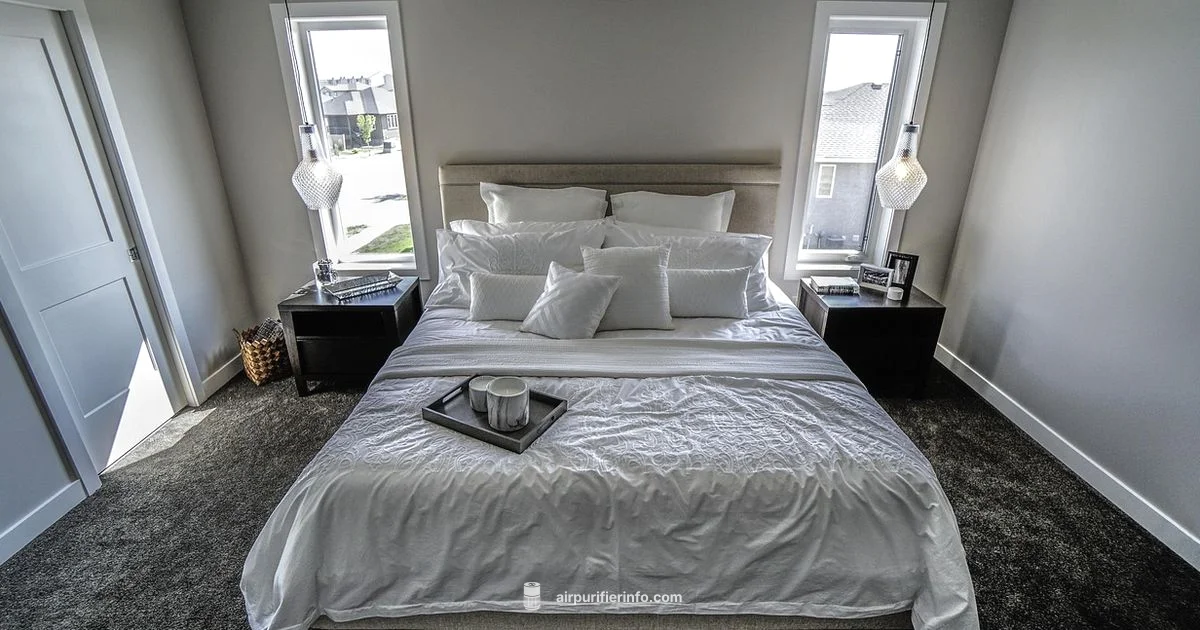 Compact Bedroom Purifier Compact Bedroom Purifier - Air Purifier Info