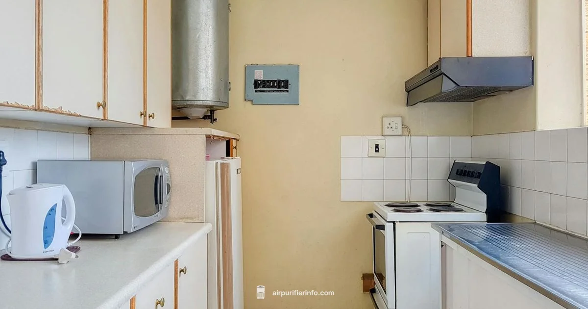 Atem in Action - Air Purifier Info