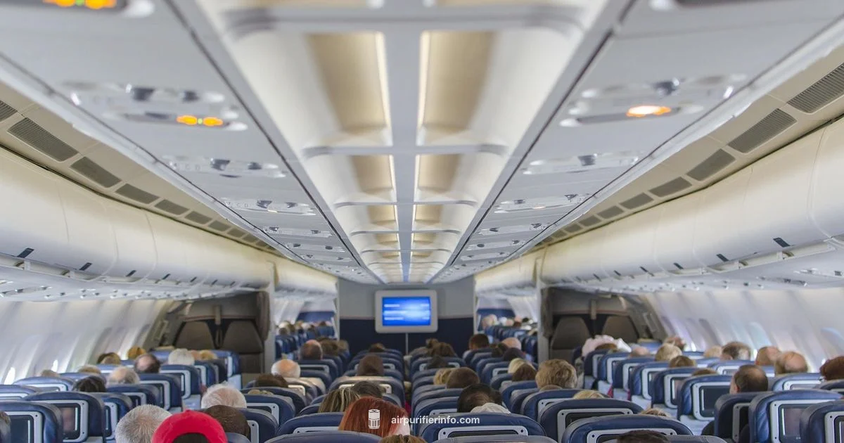 Air Purifier on Planes - Air Purifier Info
