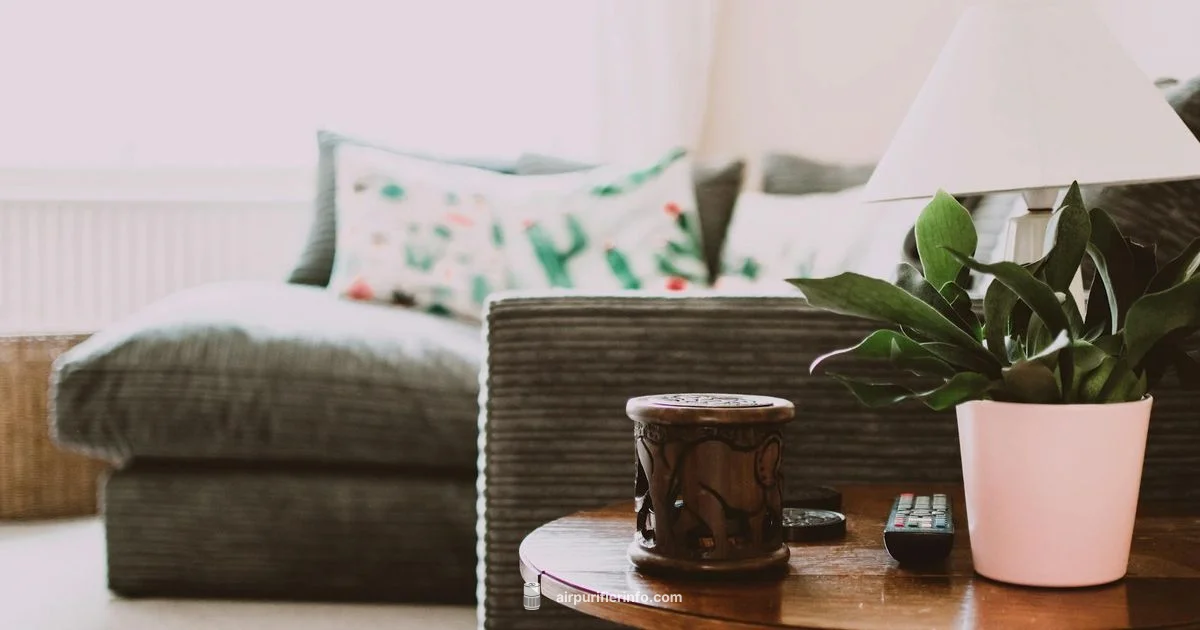 Levoit Purifier Spotlight - Air Purifier Info