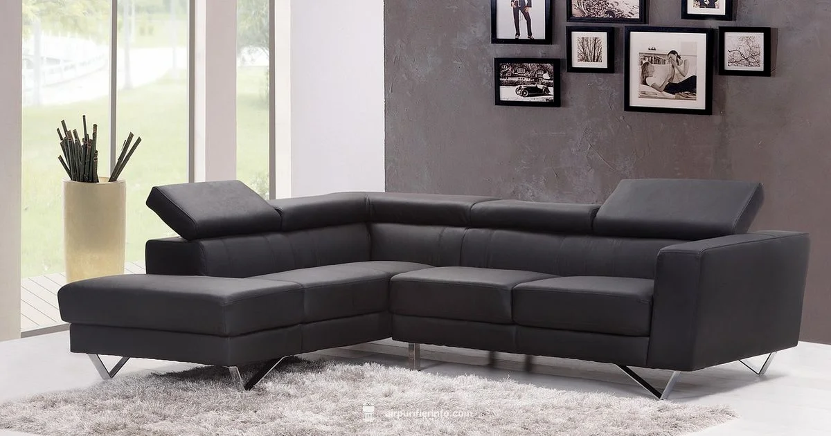 Purifier vs AC Purifier vs AC - Air Purifier Info