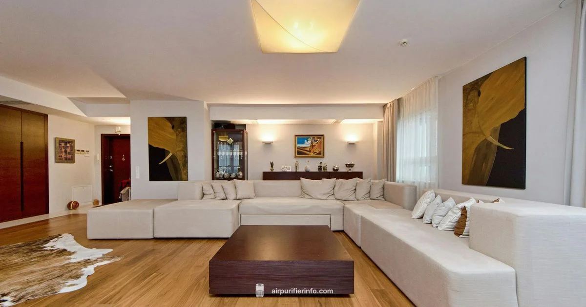 Blueair Pro L - Air Purifier Info