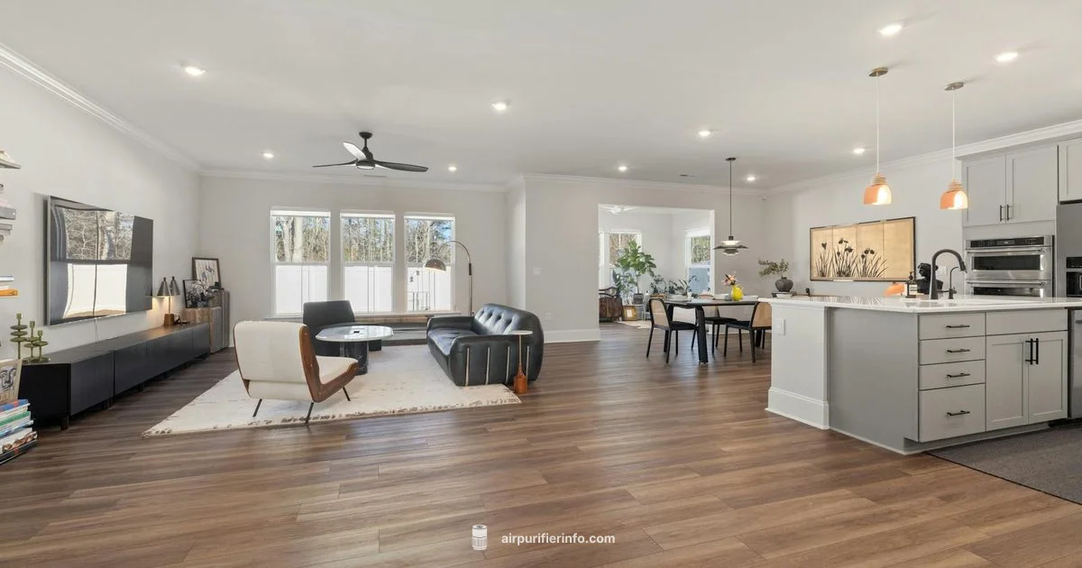 tp09 Dyson Review - Air Purifier Info