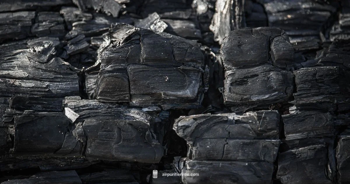 Carbon Filter Guide - Air Purifier Info