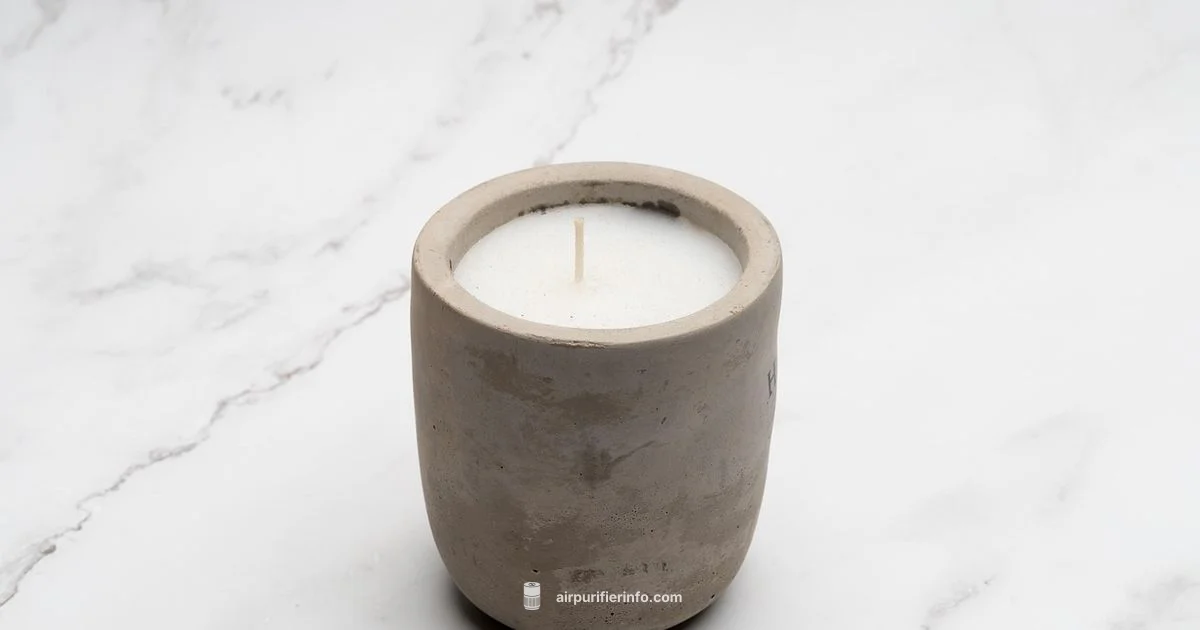 Scented Purifier Guide Scented Purifier Guide - Air Purifier Info