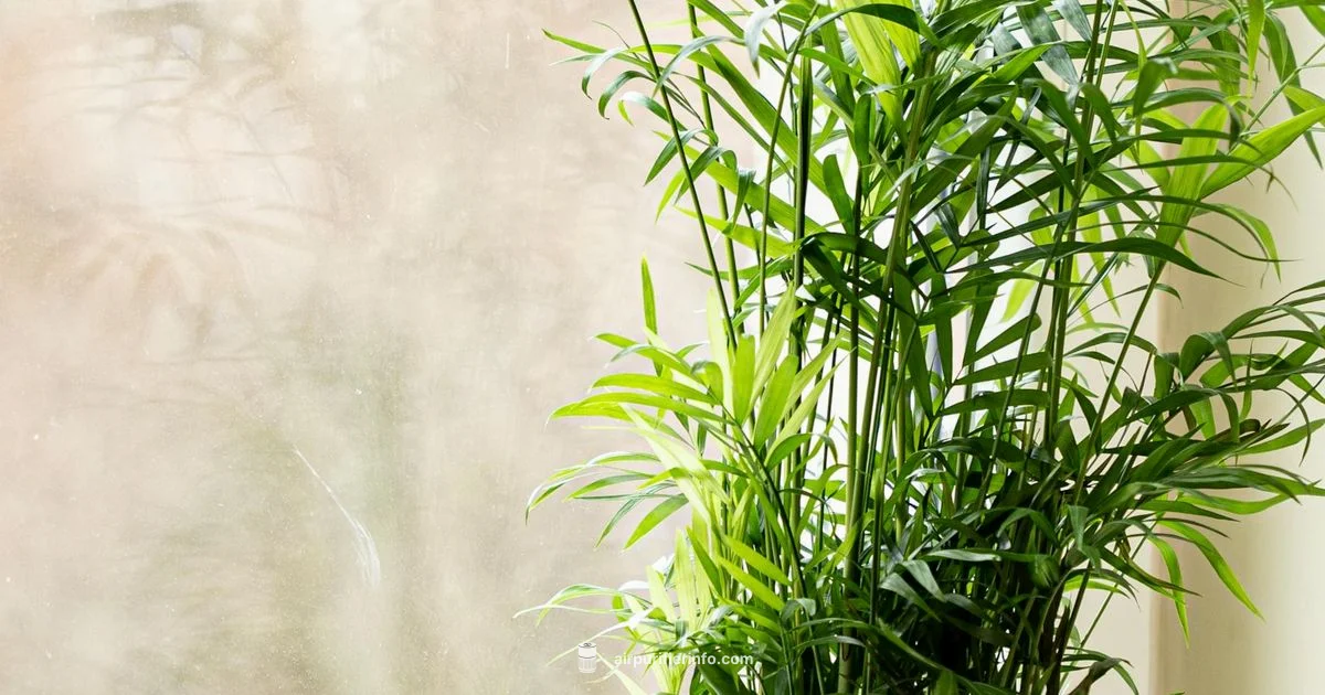 Odor Troubleshooting Odor Troubleshooting - Air Purifier Info