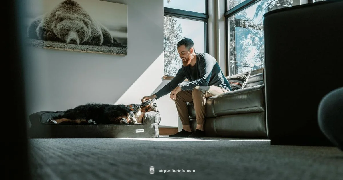 Dogs & Fresh Air Dogs & Fresh Air - Air Purifier Info