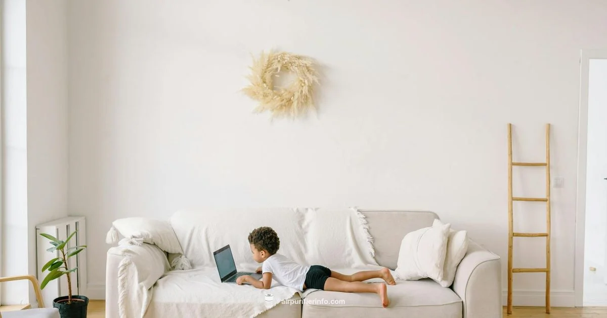 Cleaner Air at Home - Air Purifier Info