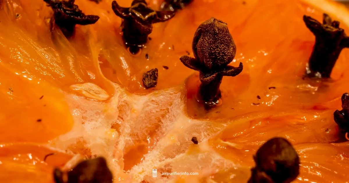 Scented Purifier Guide - Air Purifier Info