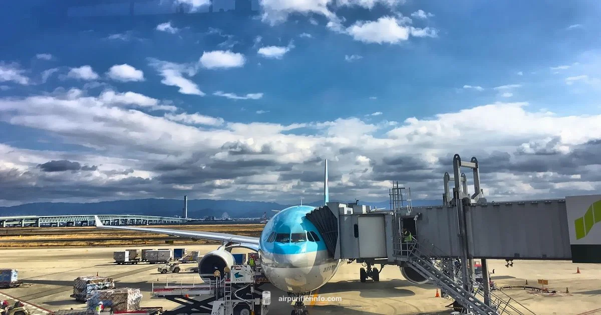 Korean Air Purifiers - Air Purifier Info