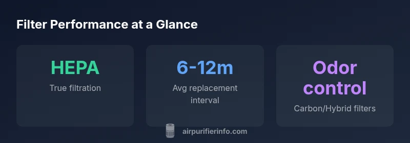 Infographic showing purifier filter types and replacement intervals