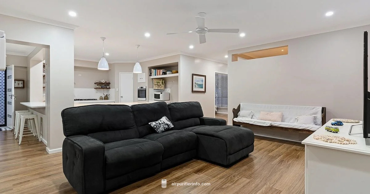 Activated Carbon Purifier - Air Purifier Info