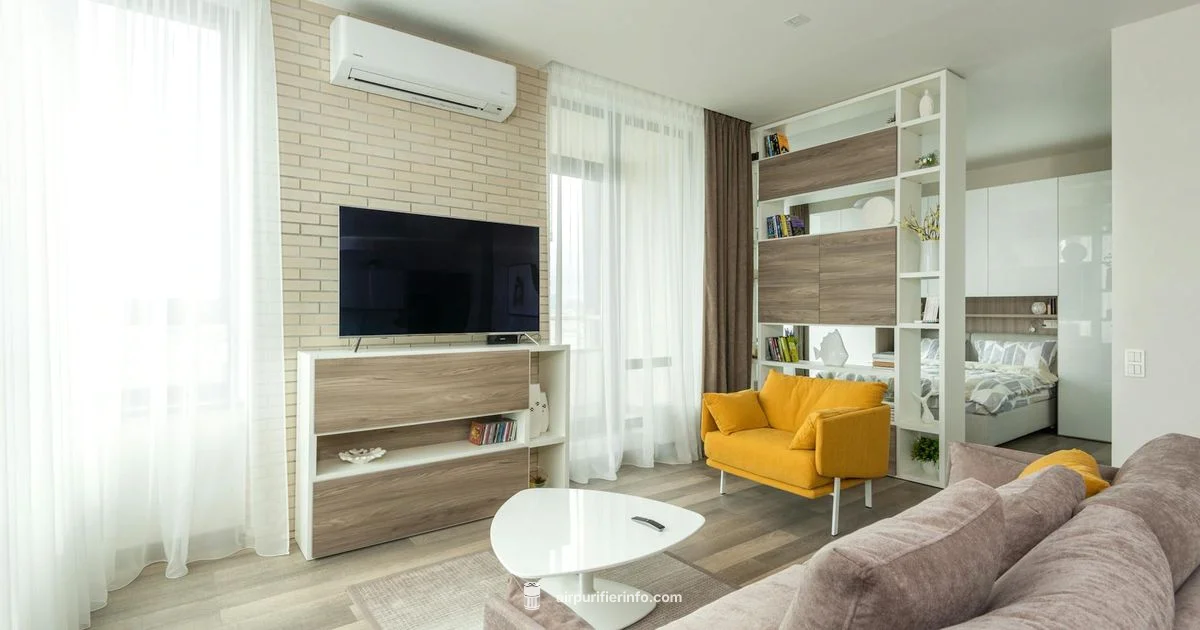 Hybrid IAQ Duo - Air Purifier Info