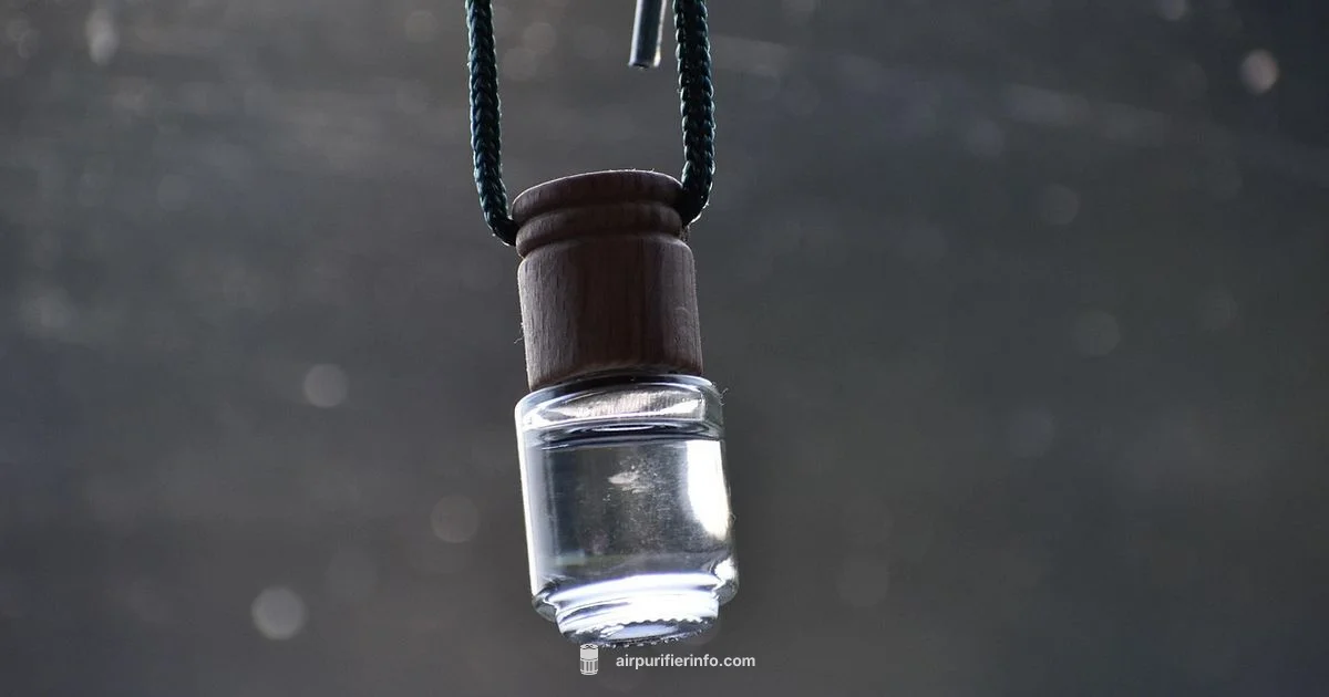 Car Air Filter Guide - Air Purifier Info