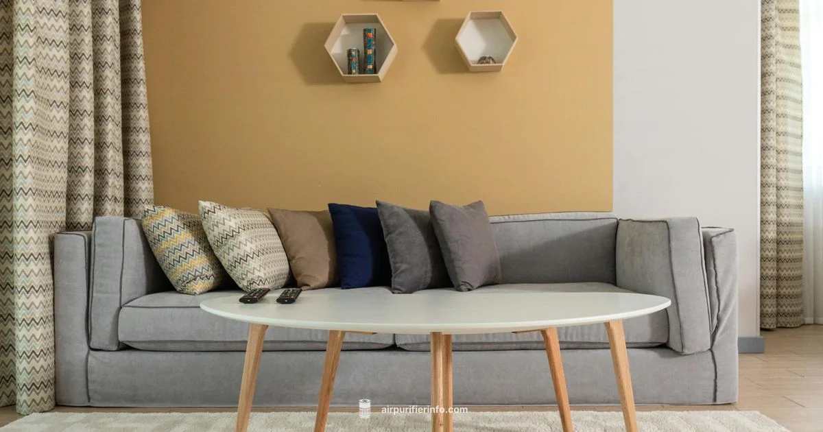 Air Purifier Setup - Air Purifier Info