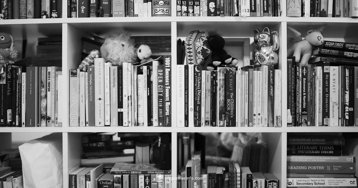 Briiv Air Filter Guide - Air Purifier Info