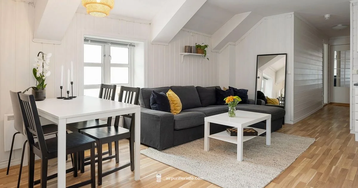 Clean Air at Home - Air Purifier Info