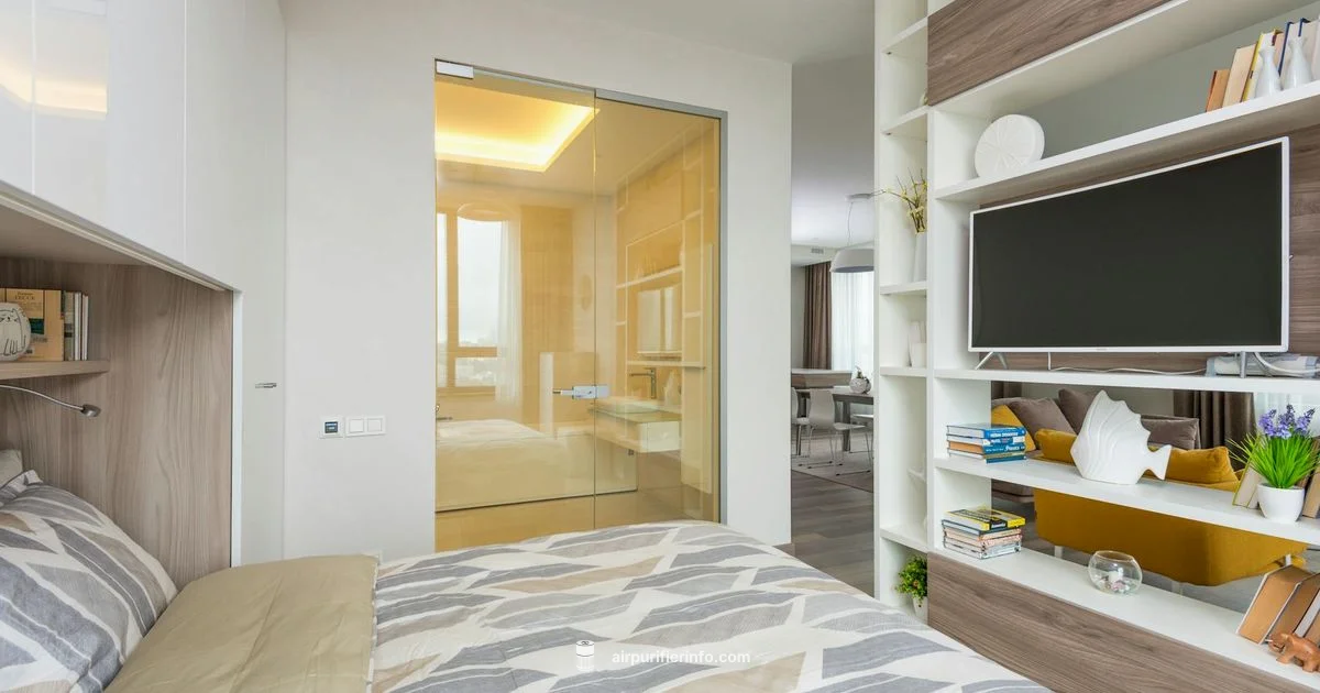 Budget Purifier Guide - Air Purifier Info