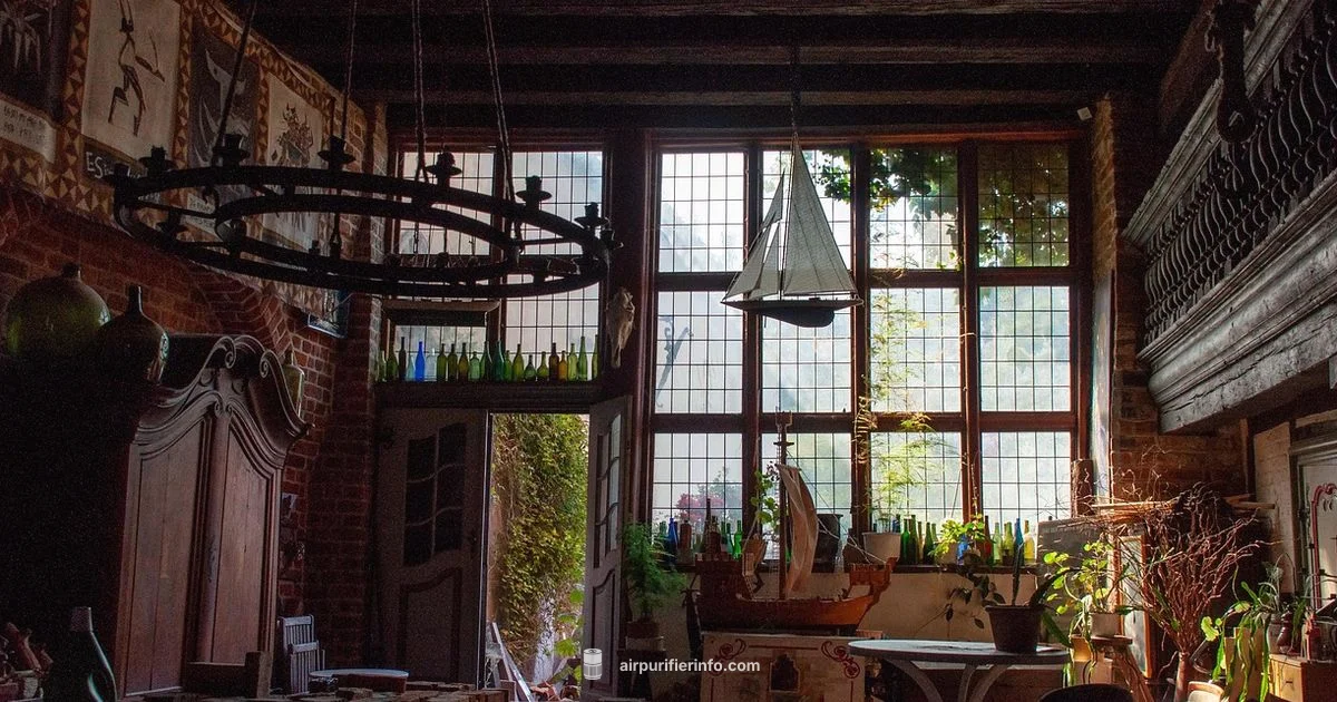 Smoke Filter Guide - Air Purifier Info