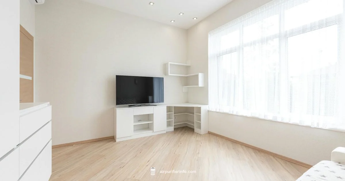 Dust Troubleshooter - Air Purifier Info