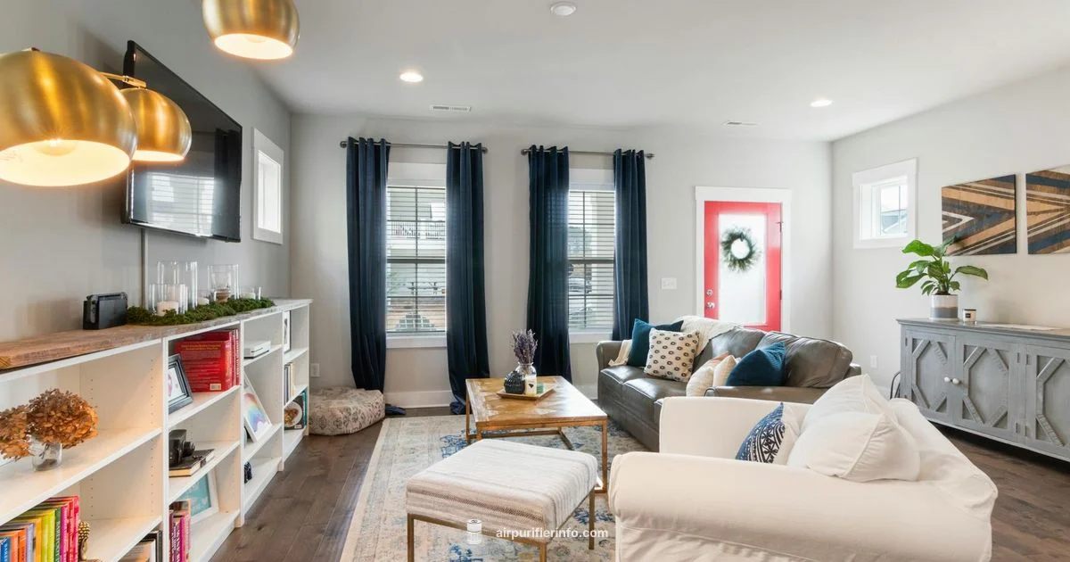 Ionizer-Free Purifiers Ionizer-Free Purifiers - Air Purifier Info