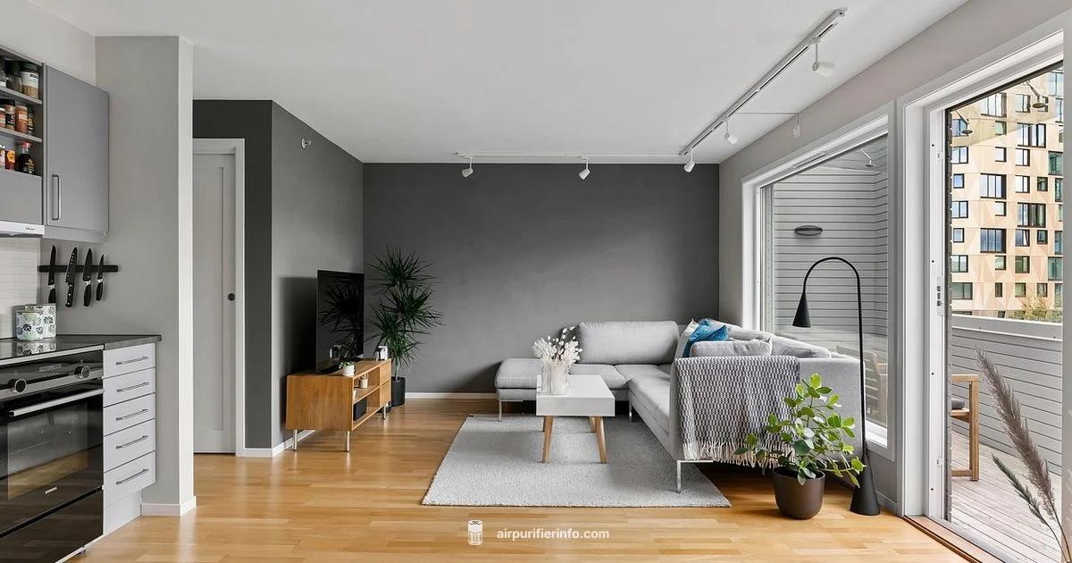 Purifier Longevity - Air Purifier Info