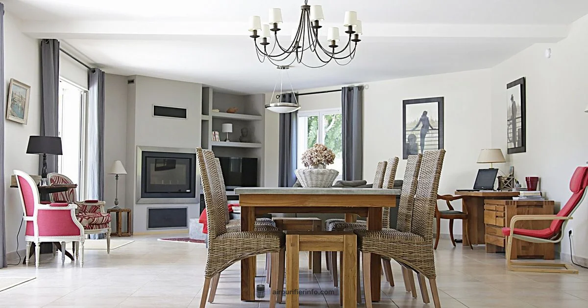 Clean Salon Air - Air Purifier Info