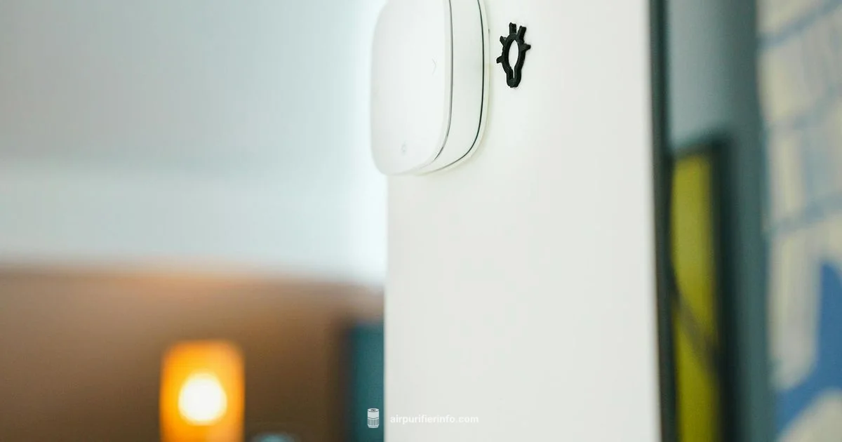 Smart Compact Purifier - Air Purifier Info