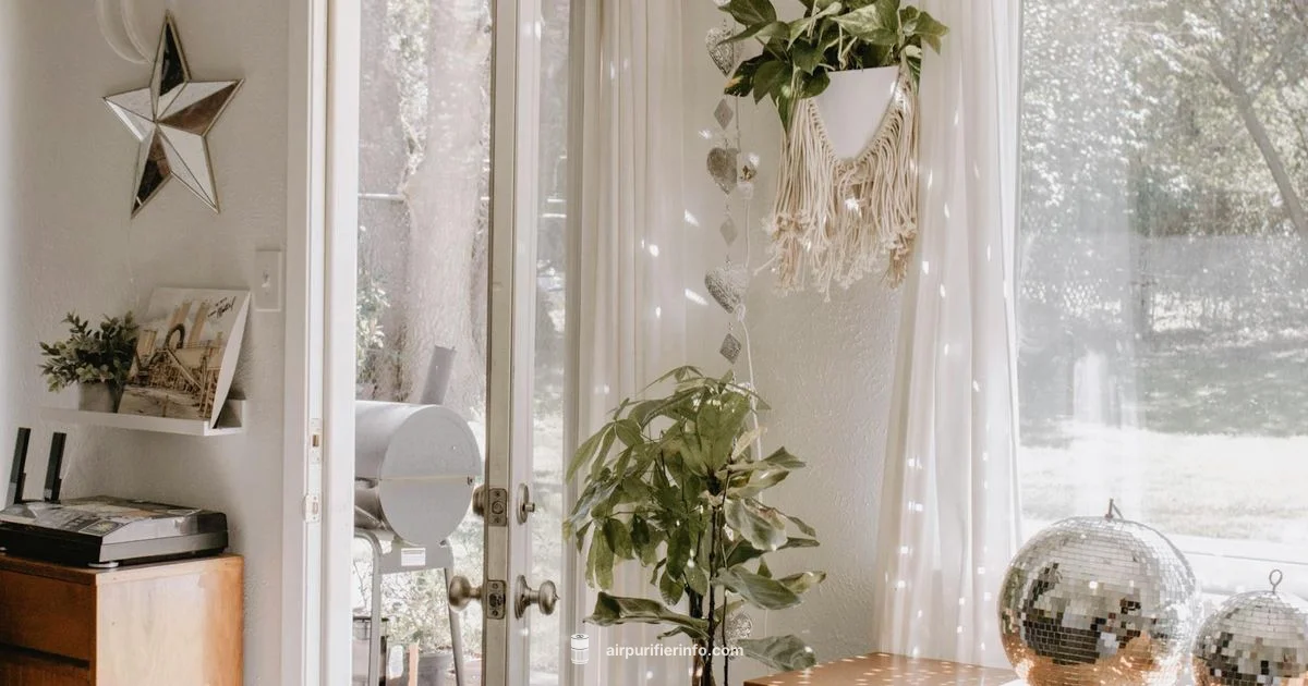 Clean Air, Clear Choice - Air Purifier Info