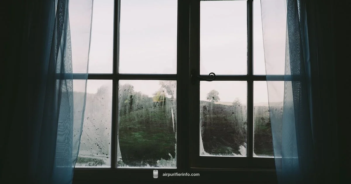 Bedroom Greens - Air Purifier Info