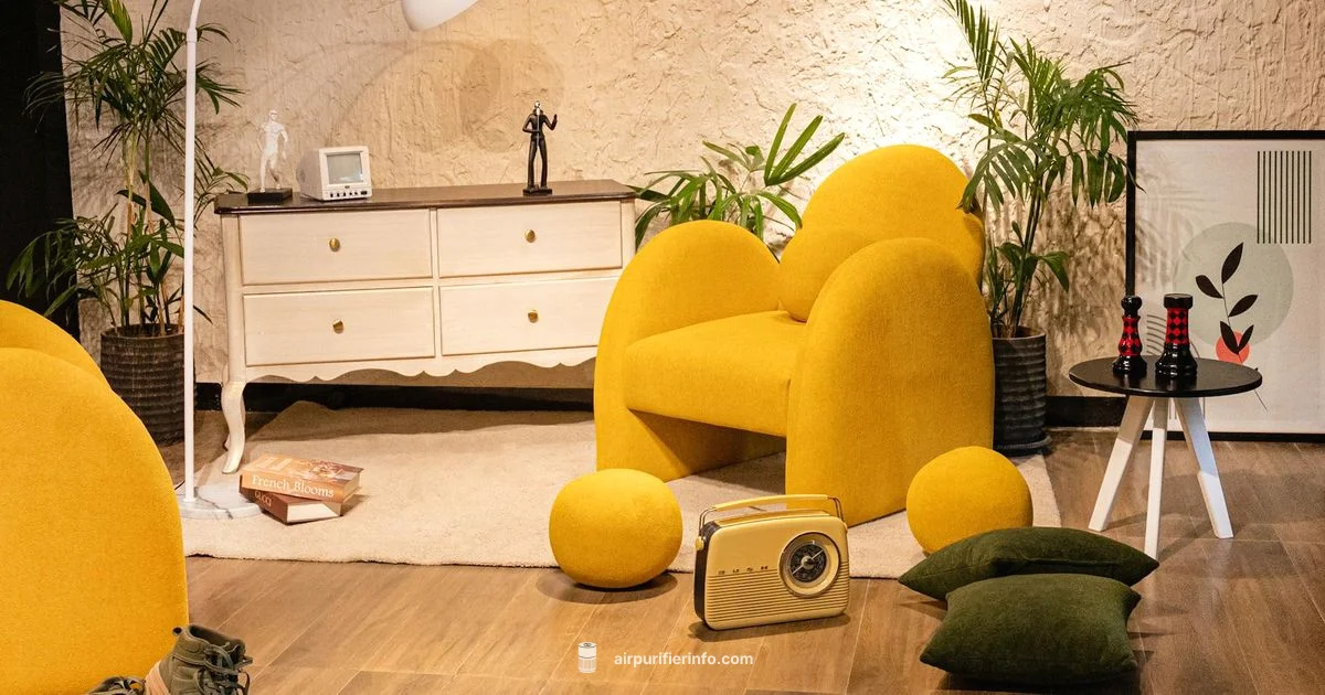 Dreamzy Air Purifier - Air Purifier Info