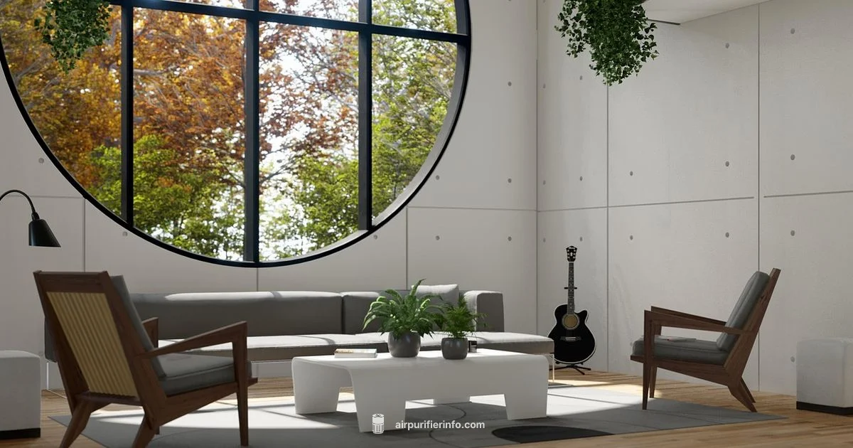 Room Purifier Install Room Purifier Install - Air Purifier Info